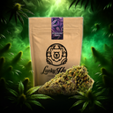 Granddaddy Purple Ökopack Blüten Lucky Hemp