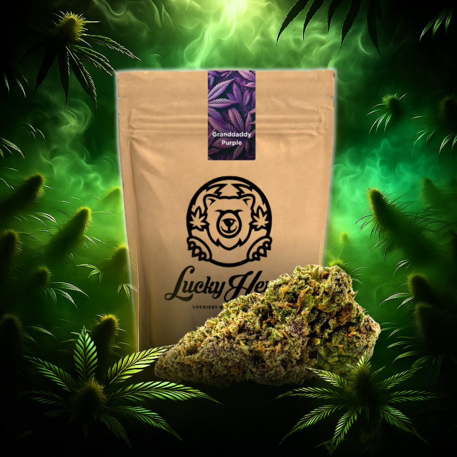 Granddaddy Purple Ökopack Blüten Lucky Hemp