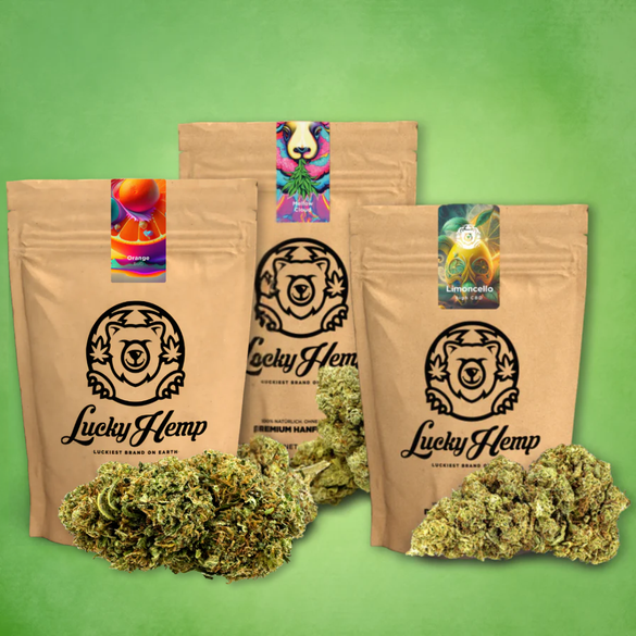 Probier Bundle Blüten Lucky Hemp