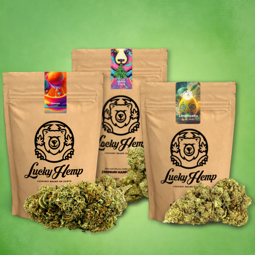 Probier Bundle Blüten Lucky Hemp