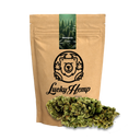 Amnesia Haze Ökopack Blüten Lucky Hemp