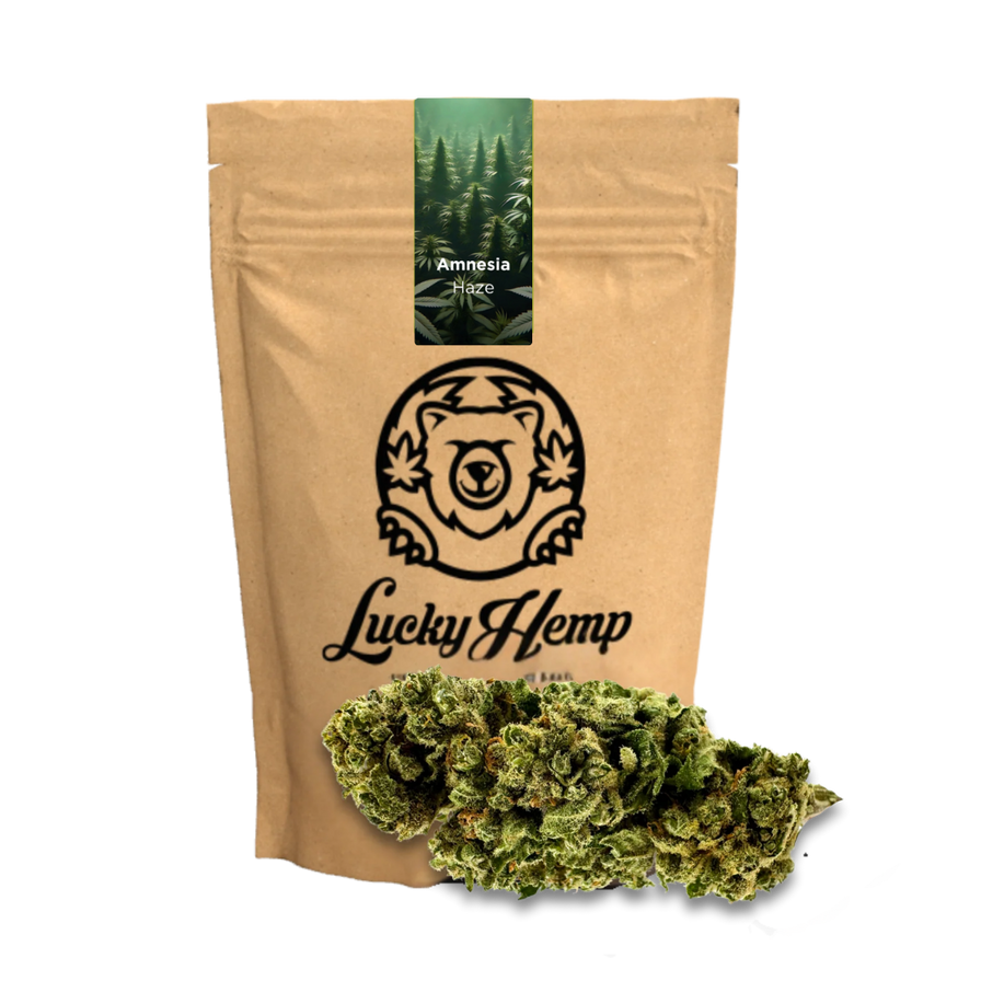 Amnesia Haze Ökopack Blüten Lucky Hemp