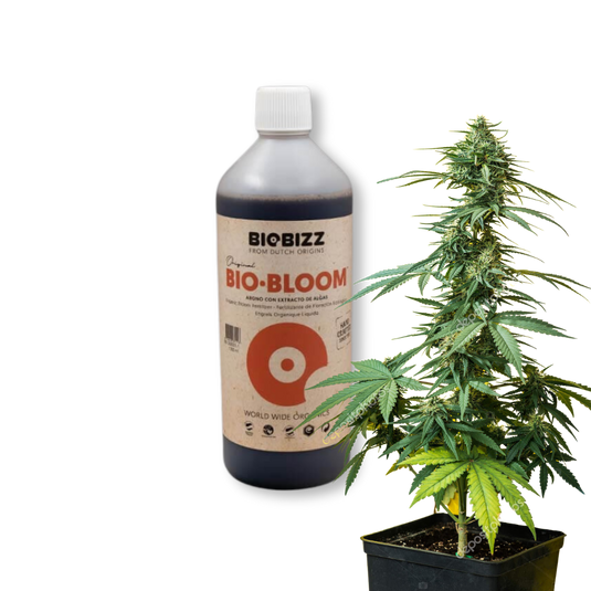 BioBizz Bio-Bloom 1 Liter Growzubehör Lucky Hemp