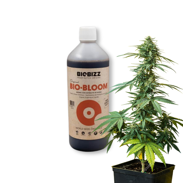 BioBizz Bio-Bloom 1 Liter Zubehör Lucky Hemp