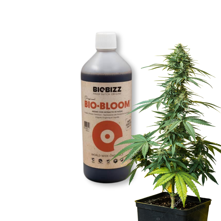 BioBizz Bio-Bloom 1 Liter Zubehör Lucky Hemp