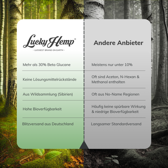 Chaga Vitalpilzextrakt Vitalpilze Lucky Hemp