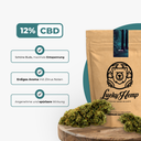 White Widow Ökopack Blüten Lucky Hemp
