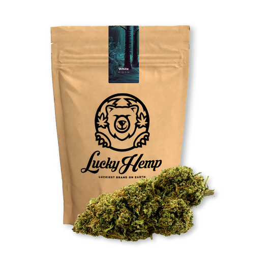 White Widow Ökopack Blüten Lucky Hemp