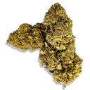 Earthquake CBD Blüten Lucky Hemp   