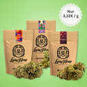 CBD-Blüten Testpaket Blüten Lucky Hemp
