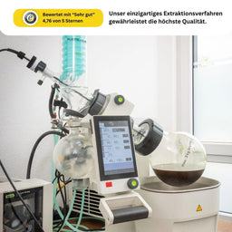 30% CBD-Öl Vollspektrum Öle Lucky Hemp