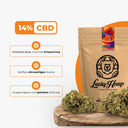 Orange Bud Ökopack Blüten Lucky Hemp