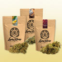 Bestseller Trio Blüten Lucky Hemp