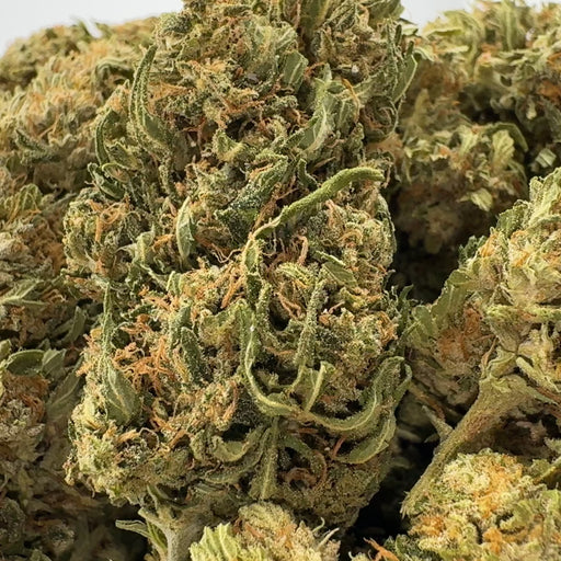 CBG Punch Ökopack Blüten Lucky Hemp