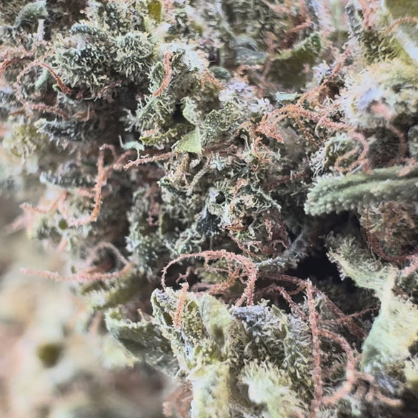 Silver Haze Ökopack Blüten Lucky Hemp