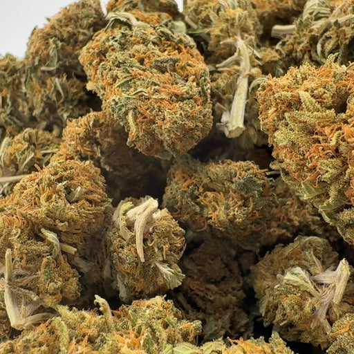 Mango Kush Ökopack Blüten Lucky Hemp