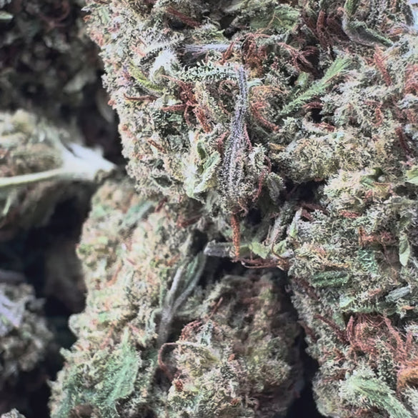 Kush Cake Ökopack Blüten Lucky Hemp