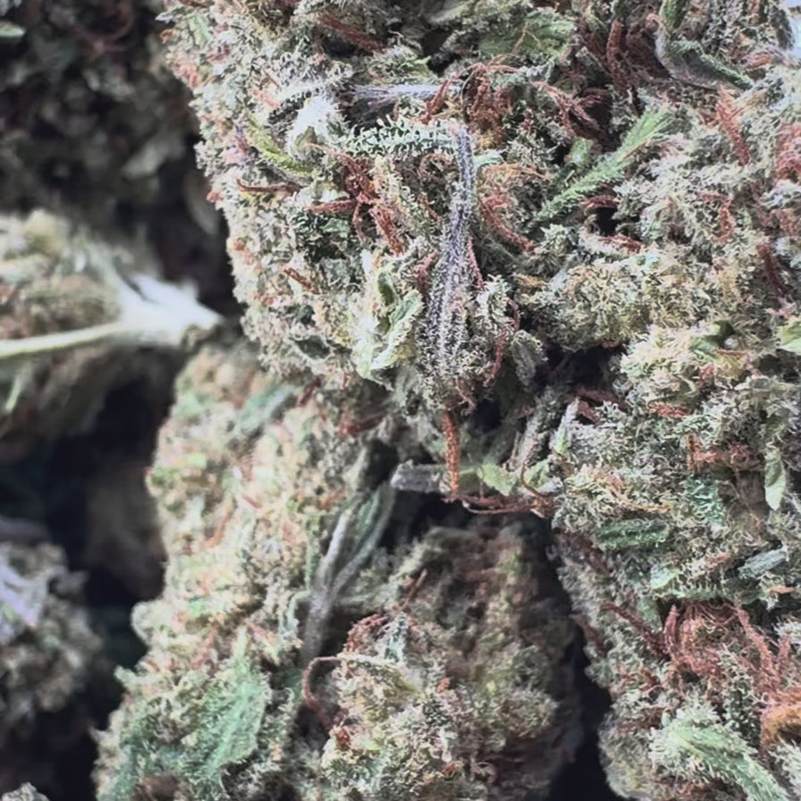 Kush Cake Ökopack Blüten Lucky Hemp