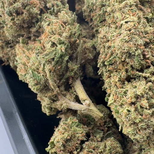 Runtz Ökopack Blüten Lucky Hemp