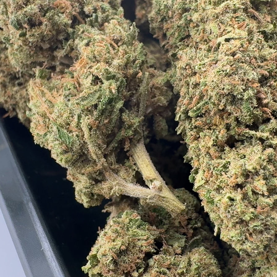 Runtz Ökopack Blüten Lucky Hemp