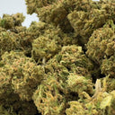 Blueberry Haze Ökopack
