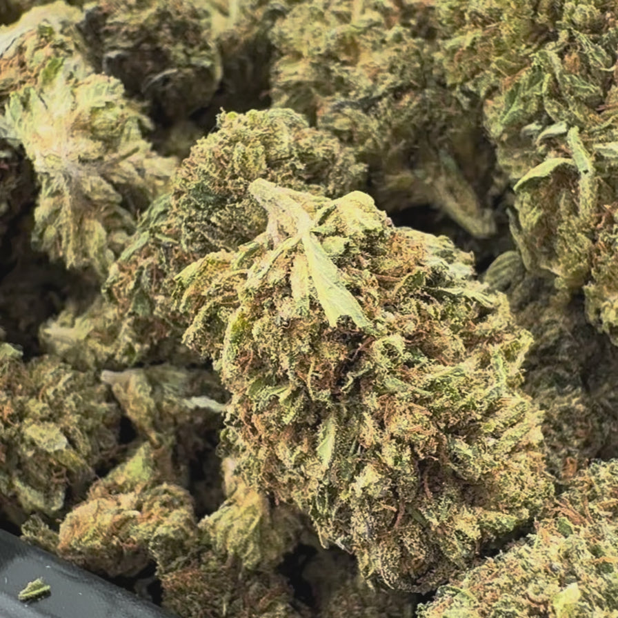 Chocolope Ökopack Blüten Lucky Hemp
