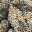 Amnesia Cheese Ökopack Blüten Lucky Hemp
