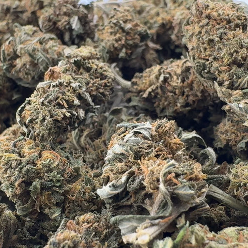Silver Haze Ökopack Blüten Lucky Hemp