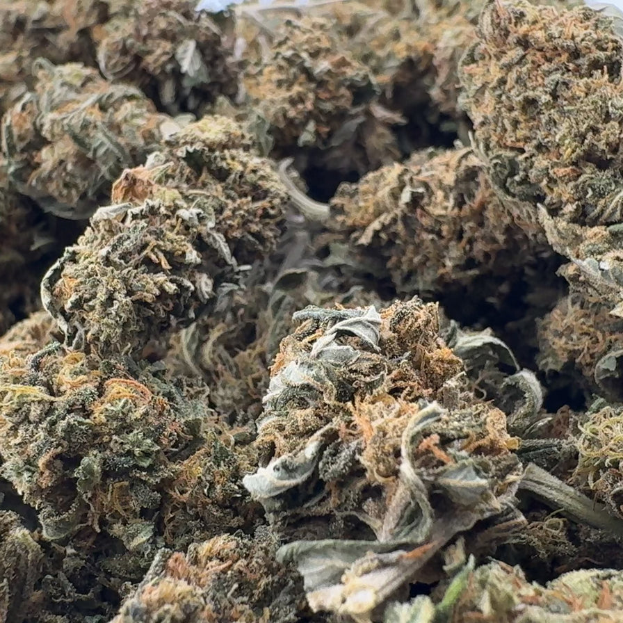 Silver Haze Ökopack Blüten Lucky Hemp