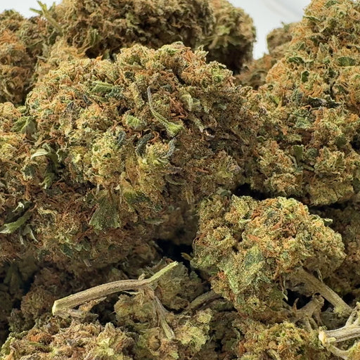 Orange Bud (TEST) (Kopie) Blüten Lucky Hemp