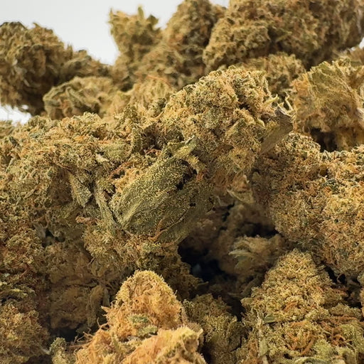 Orangello Ökopack Blüten Lucky Hemp