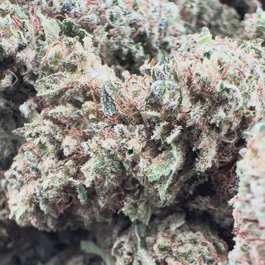 Dutch Cheese Ökopack Blüten Lucky Hemp