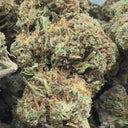 Apple Fritter Ökopack Blüten Lucky Hemp