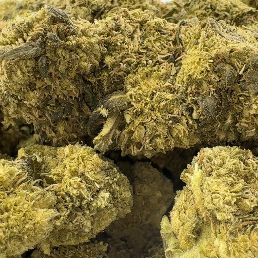 Pure Dry Freezed Ökopack Blüten Lucky Hemp