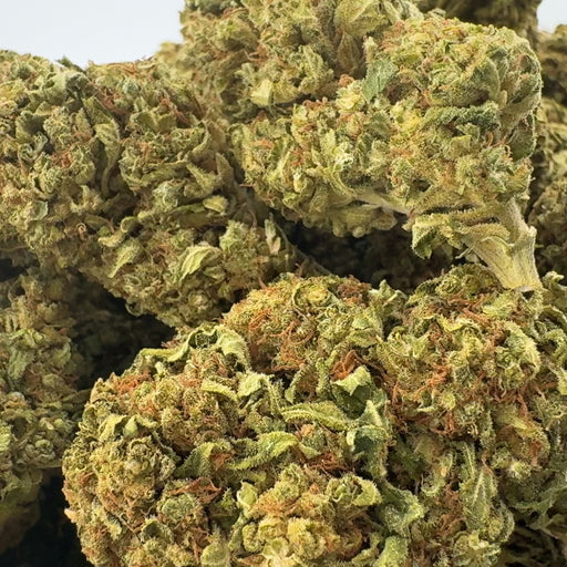 Candy Kush Blüten Lucky Hemp
