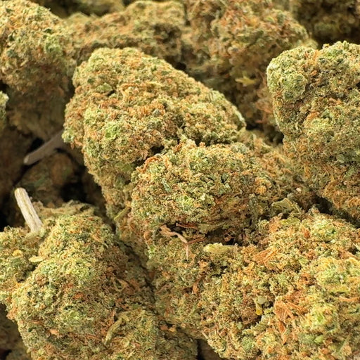 Fruit Cake CBD Ökopack Blüten Lucky Hemp