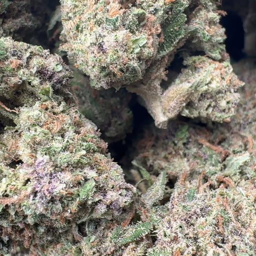 Granddaddy Purple Ökopack Blüten Lucky Hemp