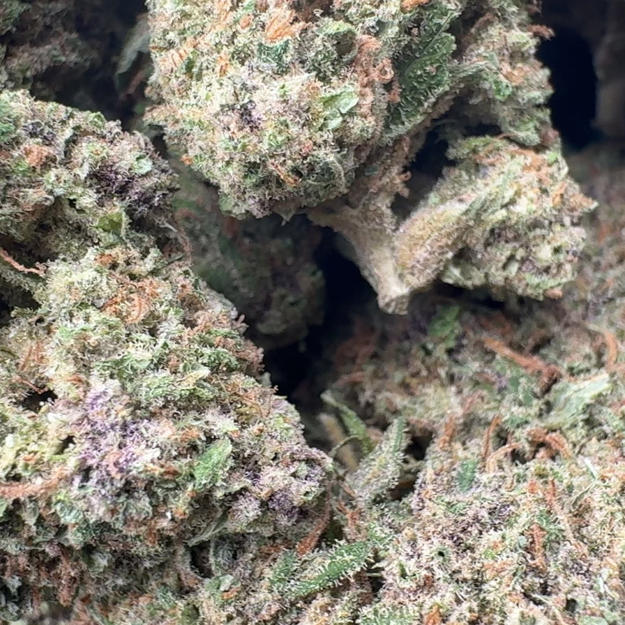 Granddaddy Purple Ökopack Blüten Lucky Hemp