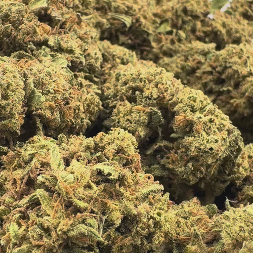 Critical Ökopack Blüten Lucky Hemp