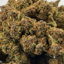 Purple Lemon Ökopack Blüten Lucky Hemp