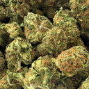 Bahama Mama Ökopack Blüten Lucky Hemp