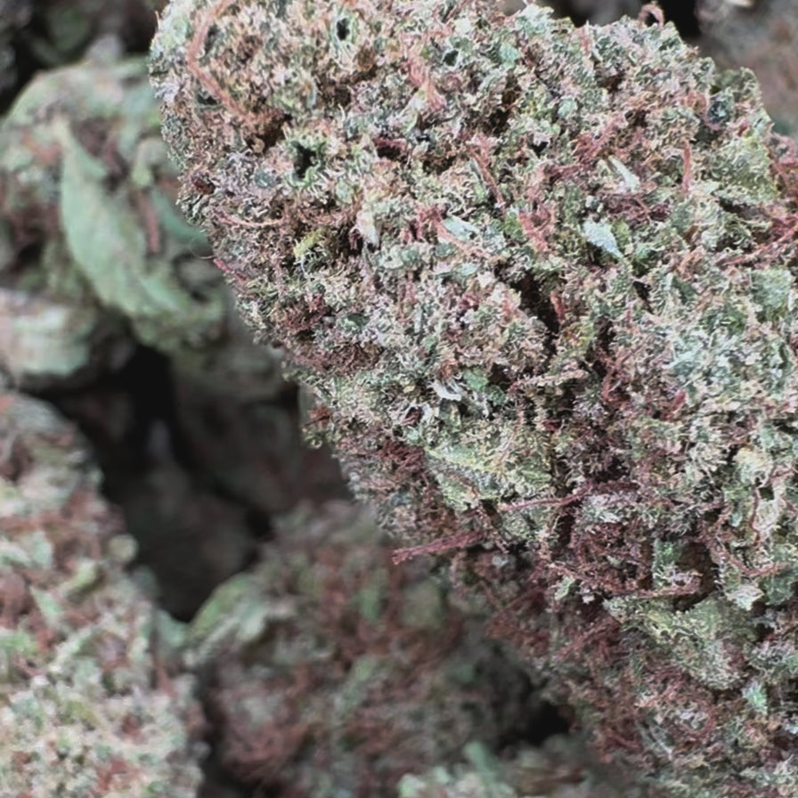 420 Mystery Strain Ökopack Set Blüten Lucky Hemp