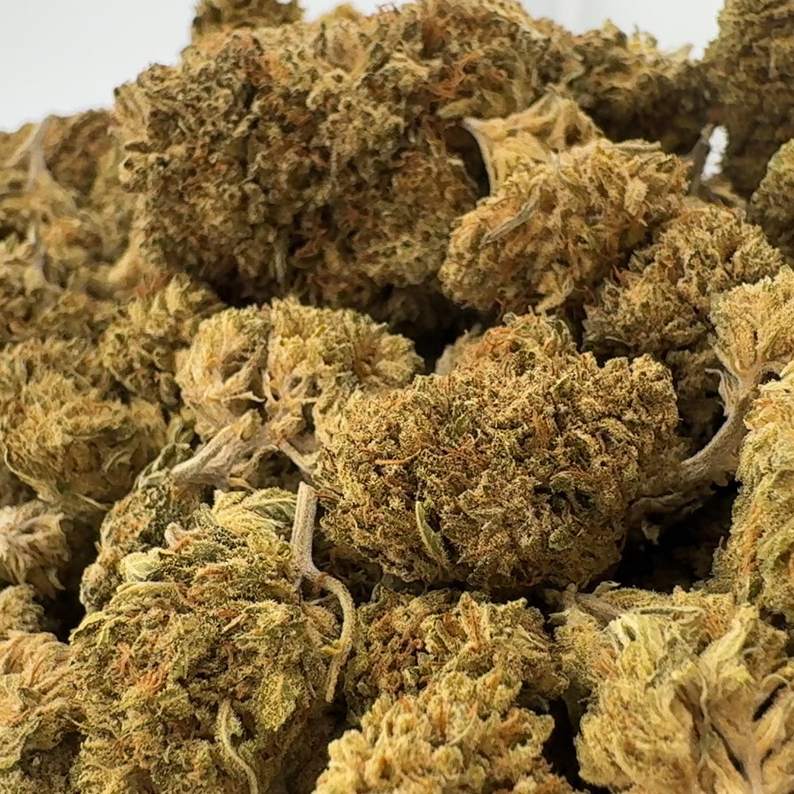 Northern Lights Ökopack Blüten Lucky Hemp
