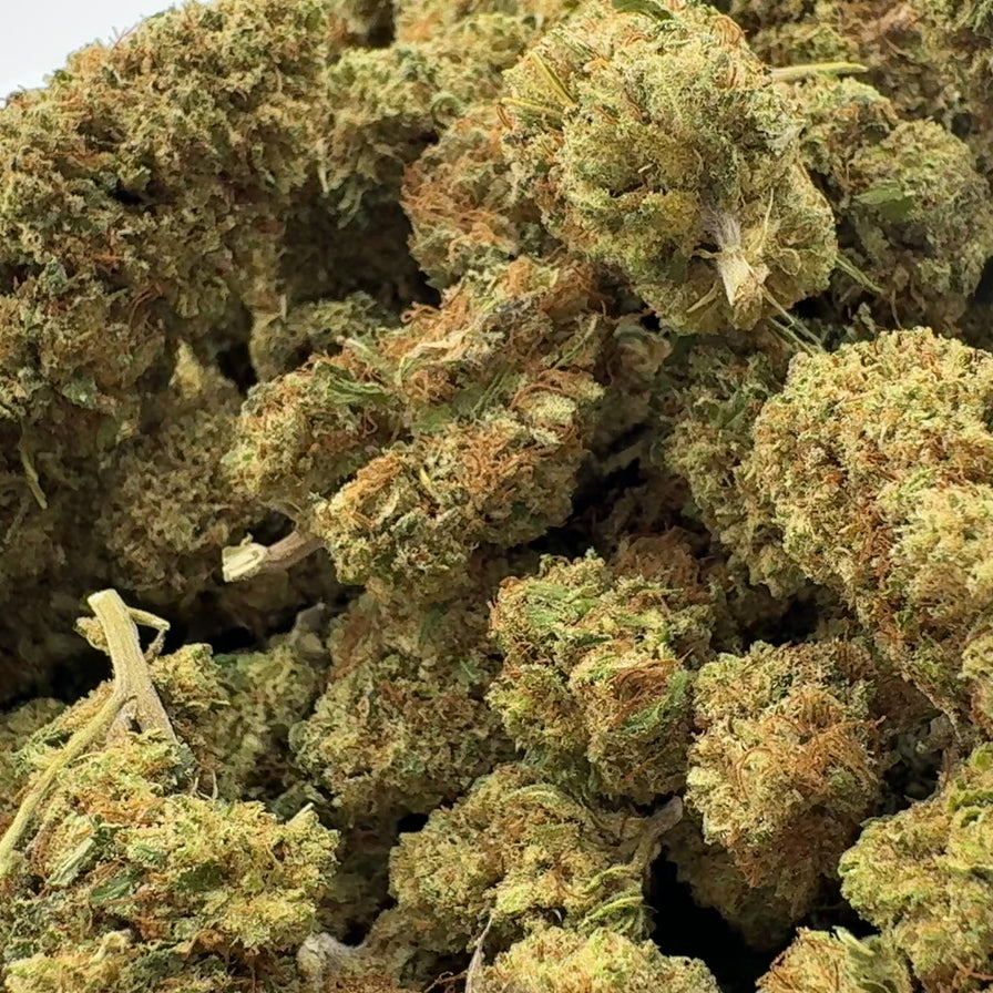 Orange Gelato Ökopack Blüten Lucky Hemp