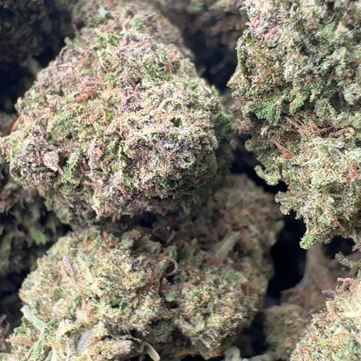 Moby Dick Ökopack Blüten Lucky Hemp