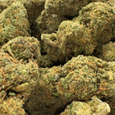 Lemon Gelato Ökopack Blüten Lucky Hemp