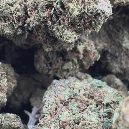 Orange Skunk Ökopack Blüten Lucky Hemp