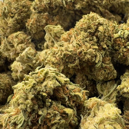 Pure CBG Ökopack Blüten Lucky Hemp