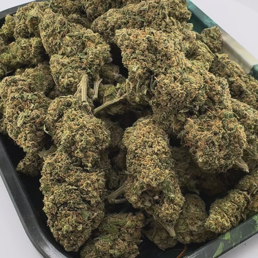 Gorilla Glue Ökopack Blüten Lucky Hemp