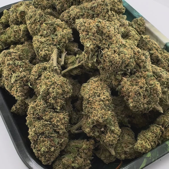 Gorilla Glue Ökopack Blüten Lucky Hemp